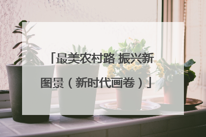 最美农村路 振兴新图景（新时代画卷）