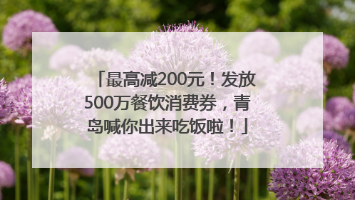 最高减200元！发放500万餐饮消费券，青岛喊你出来吃饭啦！