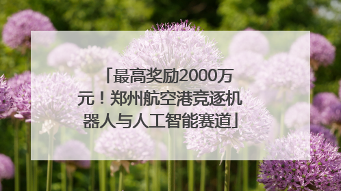 最高奖励2000万元！郑州航空港竞逐机器人与人工智能赛道