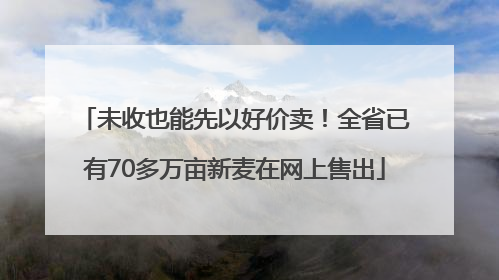 未收也能先以好价卖！全省已有70多万亩新麦在网上售出