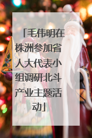 毛伟明在株洲参加省人大代表小组调研北斗产业主题活动