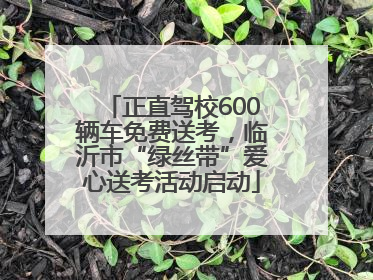 正直驾校600辆车免费送考，临沂市“绿丝带”爱心送考活动启动