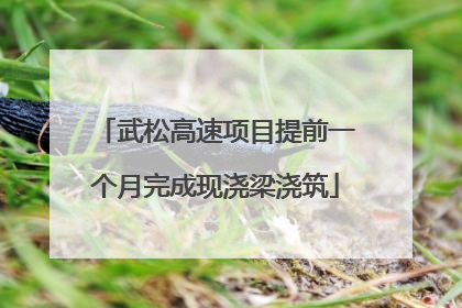 武松高速项目提前一个月完成现浇梁浇筑
