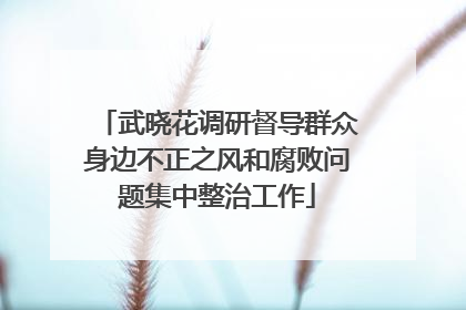 武晓花调研督导群众身边不正之风和腐败问题集中整治工作