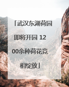 武汉东湖荷园即将开园 1200余种荷花竞相绽放