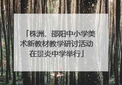株洲、邵阳中小学美术新教材教学研讨活动在景炎中学举行