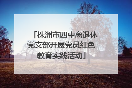 株洲市四中离退休党支部开展党员红色教育实践活动