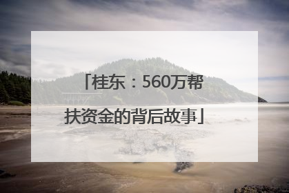 桂东：560万帮扶资金的背后故事