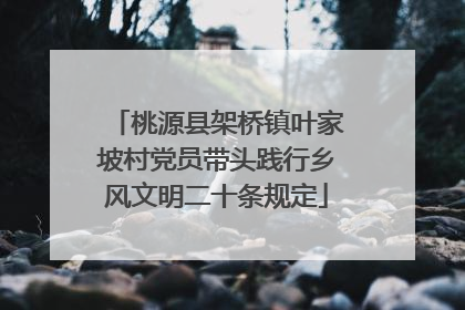 桃源县架桥镇叶家坡村党员带头践行乡风文明二十条规定
