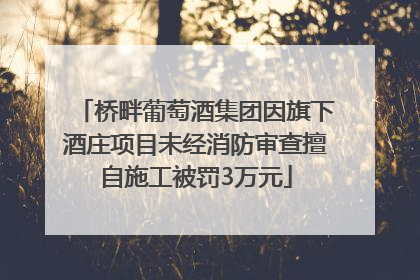 桥畔葡萄酒集团因旗下酒庄项目未经消防审查擅自施工被罚3万元