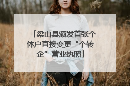 梁山县颁发首张个体户直接变更“个转企”营业执照