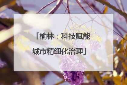 榆林：科技赋能城市精细化治理