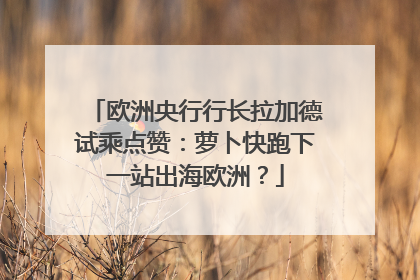 欧洲央行行长拉加德试乘点赞：萝卜快跑下一站出海欧洲？