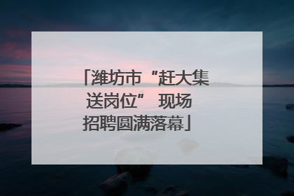 潍坊市“赶大集 送岗位” 现场招聘圆满落幕