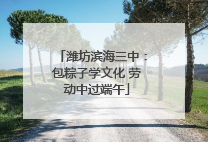 潍坊滨海三中：包粽子学文化 劳动中过端午