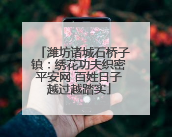 潍坊诸城石桥子镇：绣花功夫织密平安网 百姓日子越过越踏实