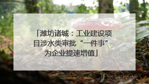 潍坊诸城：工业建设项目涉水类审批“一件事” 为企业提速增值