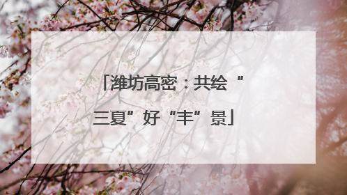 潍坊高密：共绘“三夏”好“丰”景
