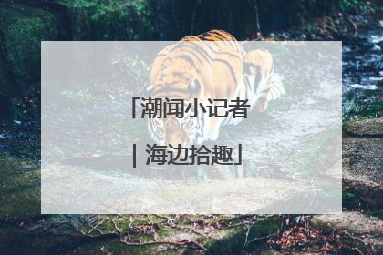 潮闻小记者｜海边拾趣