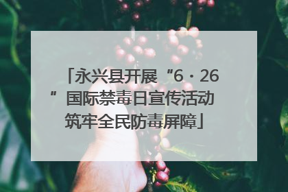 永兴县开展“6・26”国际禁毒日宣传活动 筑牢全民防毒屏障