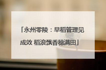 永州零陵：早稻管理见成效 稻浪飘香穗满田