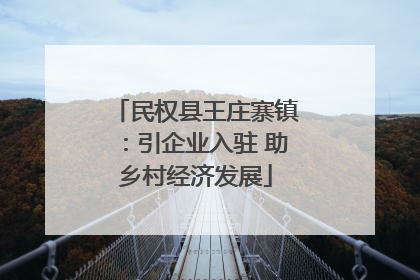 民权县王庄寨镇：引企业入驻 助乡村经济发展