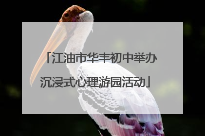 江油市华丰初中举办沉浸式心理游园活动