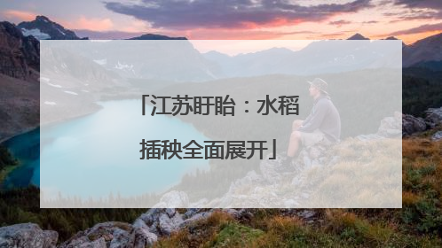 江苏盱眙：水稻插秧全面展开