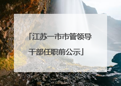 江苏一市市管领导干部任职前公示