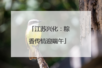 江苏兴化：粽香传情迎端午