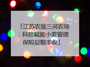 江苏农垦三河农场：科技赋能小麦管理保障夏粮丰收