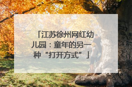 江苏徐州网红幼儿园：童年的另一种“打开方式”