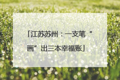 江苏苏州：一支笔“画”出三本幸福账