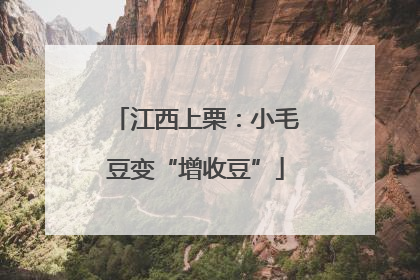 江西上栗：小毛豆变“增收豆”