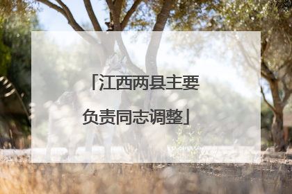 江西两县主要负责同志调整