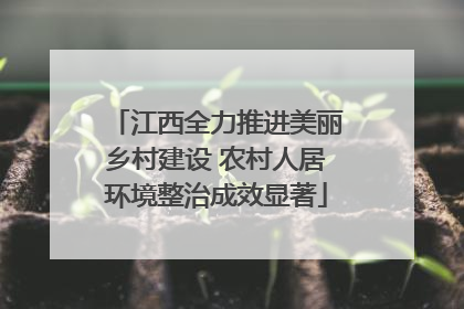 江西全力推进美丽乡村建设 农村人居环境整治成效显著