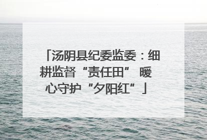 汤阴县纪委监委：细耕监督“责任田” 暖心守护“夕阳红”