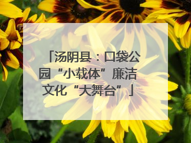 汤阴县：口袋公园“小载体”廉洁文化“大舞台”