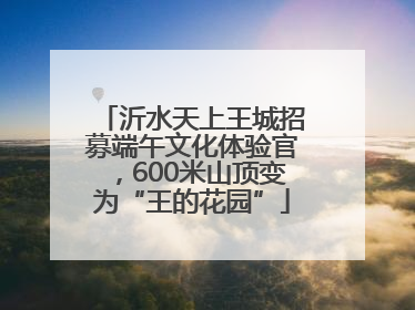 沂水天上王城招募端午文化体验官，600米山顶变为“王的花园”