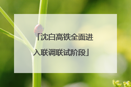 沈白高铁全面进入联调联试阶段