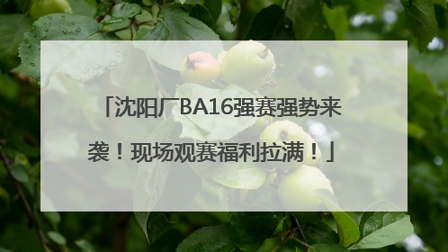 沈阳厂BA16强赛强势来袭！现场观赛福利拉满！