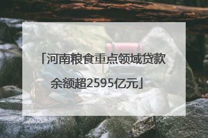 河南粮食重点领域贷款余额超2595亿元