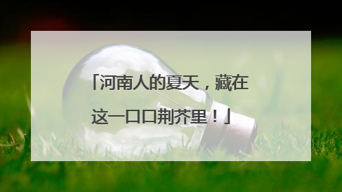 河南人的夏天，藏在这一口口荆芥里！