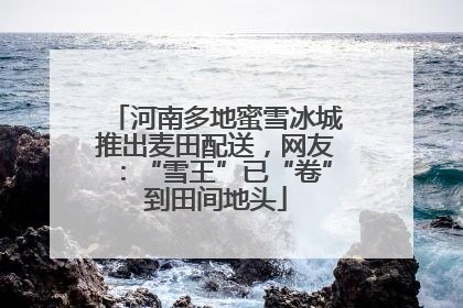 河南多地蜜雪冰城推出麦田配送，网友：“雪王”已“卷”到田间地头