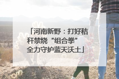 河南新野：打好秸秆禁烧“组合拳” 全力守护蓝天沃土