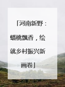 河南新野：蟠桃飘香，绘就乡村振兴新画卷
