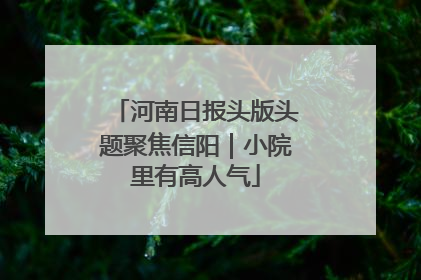 河南日报头版头题聚焦信阳｜小院里有高人气