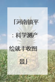 河南镇平：科学测产绘就丰收图景