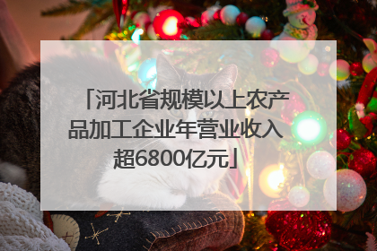 河北省规模以上农产品加工企业年营业收入超6800亿元