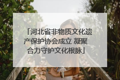 河北省非物质文化遗产保护协会成立 凝聚合力守护文化根脉